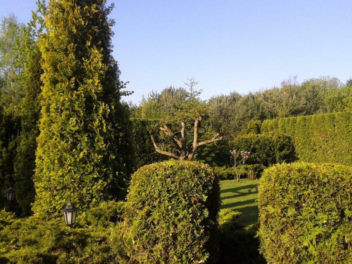Dom Na Skarpie Villa Wierzbica  Luaran gambar