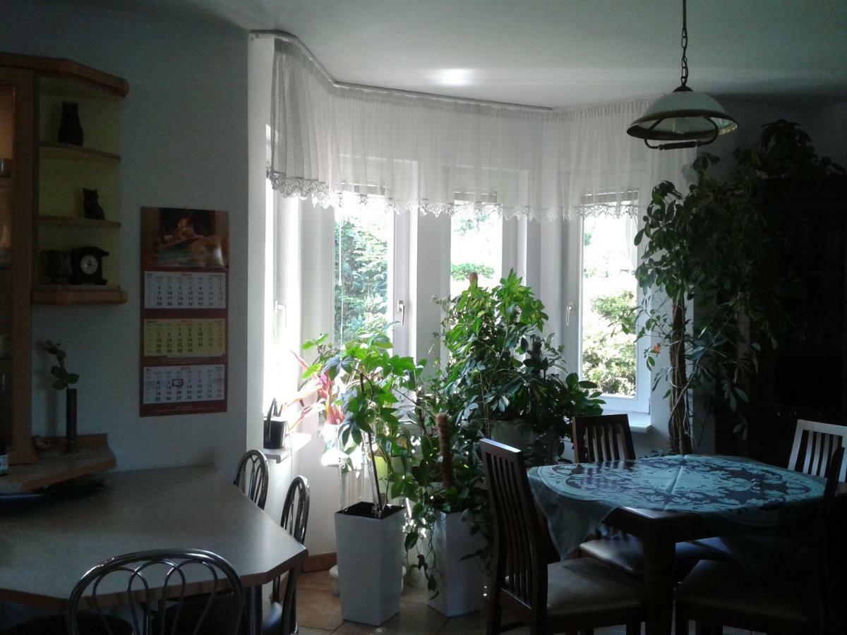 Dom Na Skarpie Villa Wierzbica  Luaran gambar